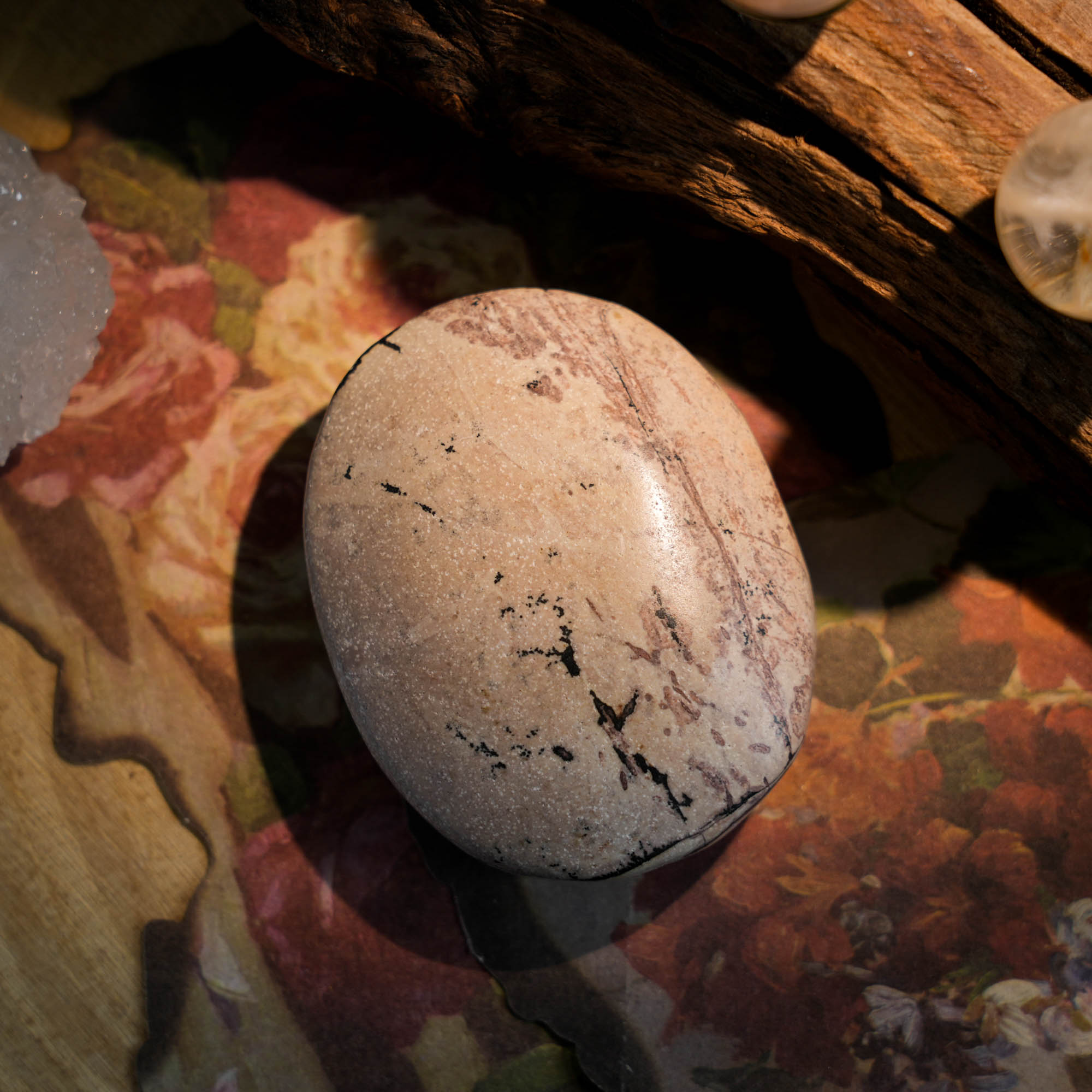 Picture Jasper Palm Stone - helmsman - crystal