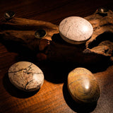 Picture Jasper Palm Stone - helmsman - crystal