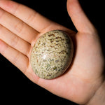 Rhyolite Palm Stone - helmsman - crystal