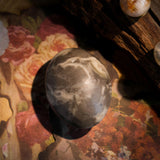 Shell Stone Palm Stone - helmsman - crystal