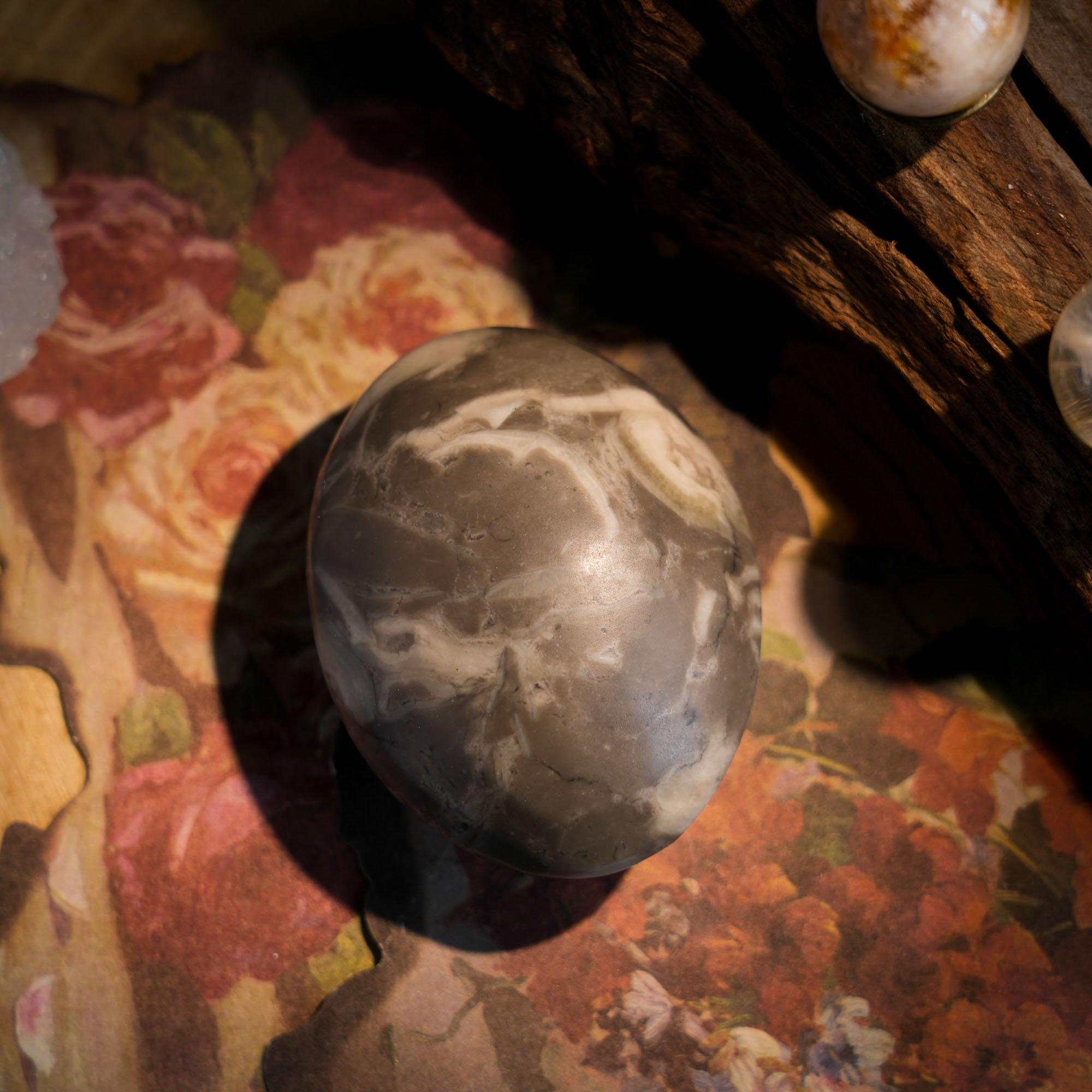 Shell Stone Palm Stone - helmsman - crystal