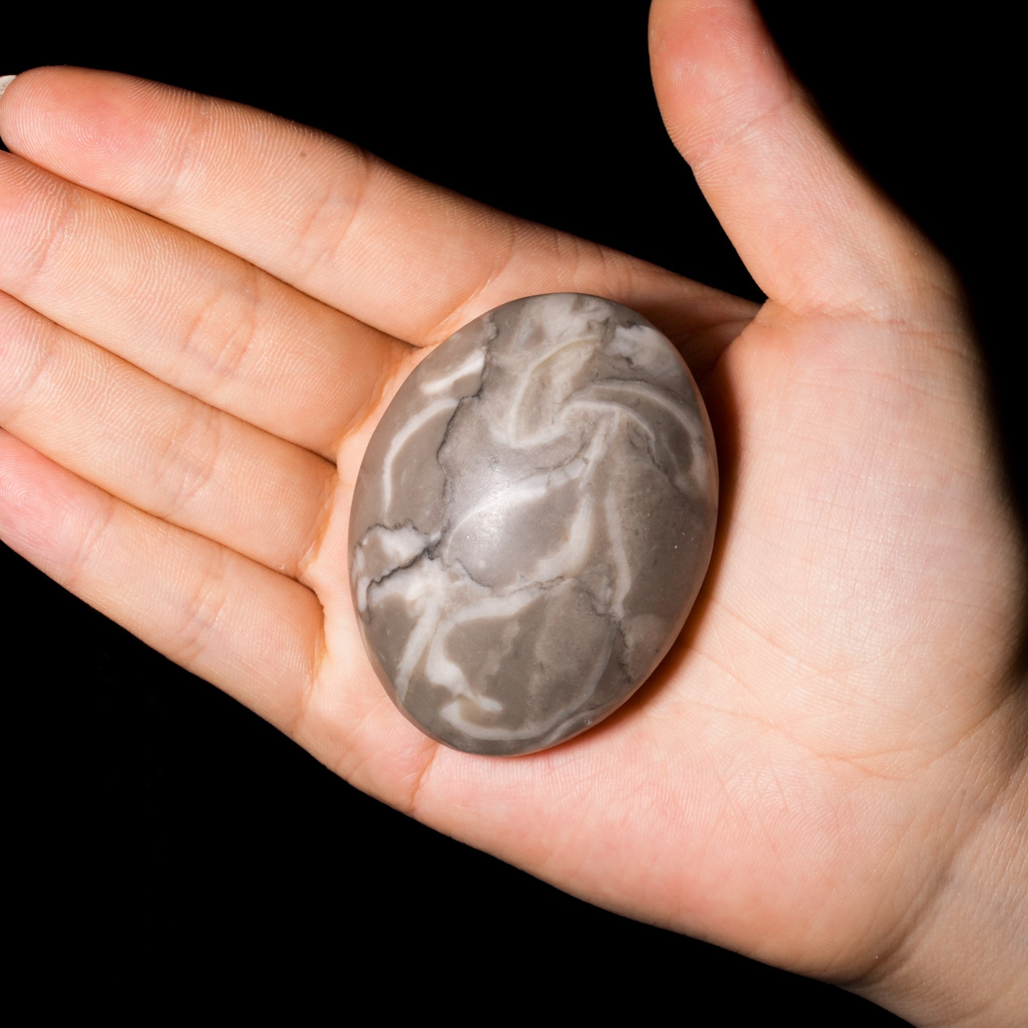 Shell Stone Palm Stone - helmsman - crystal