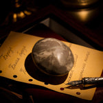 Shell Stone Palm Stone - helmsman - crystal