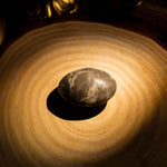 Shell Stone Palm Stone - helmsman - crystal