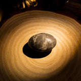 Shell Stone Palm Stone - helmsman - crystal