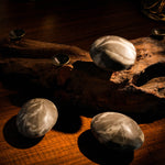 Shell Stone Palm Stone - helmsman - crystal