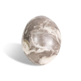 Shell Stone Palm Stone - helmsman - crystal