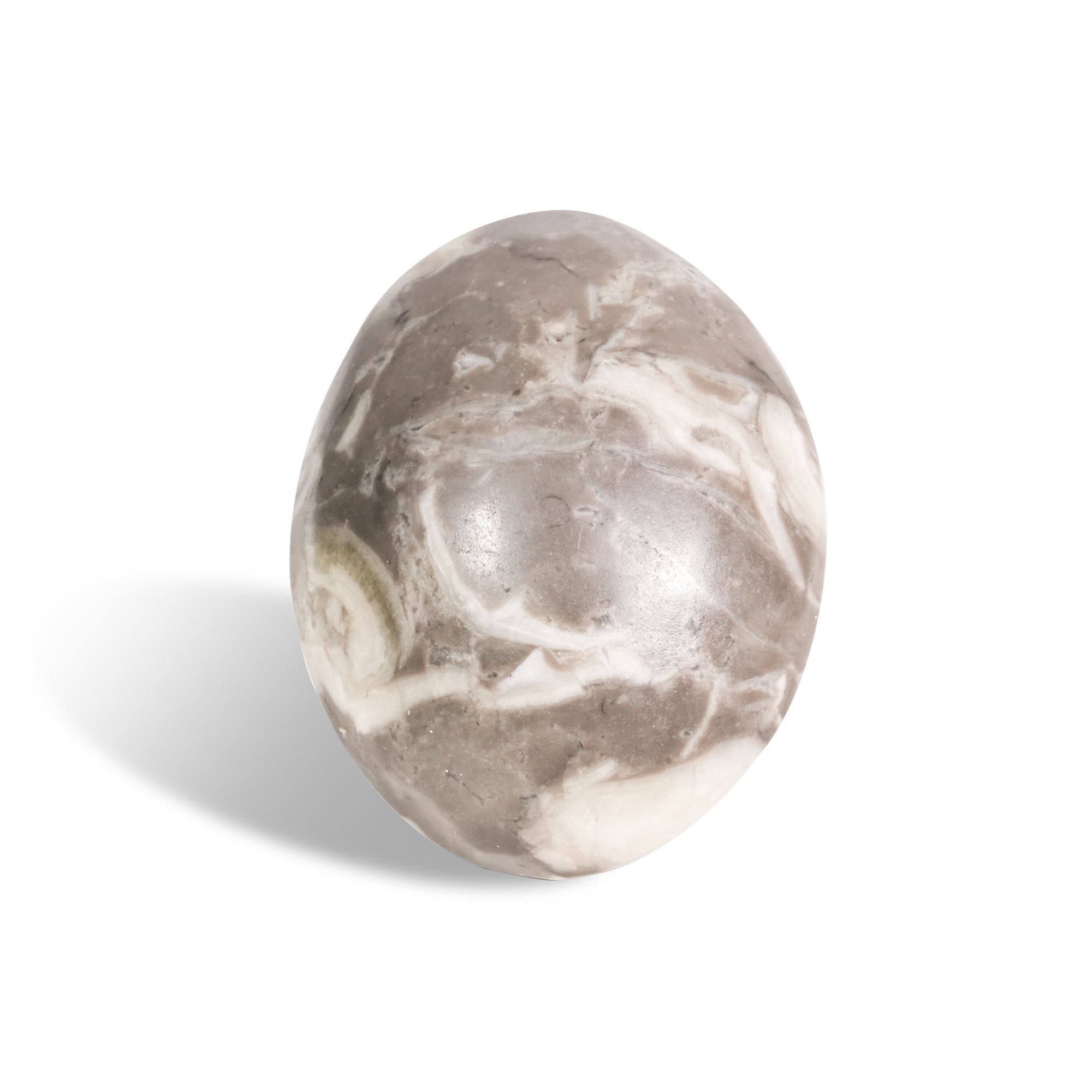 Shell Stone Palm Stone - helmsman - crystal