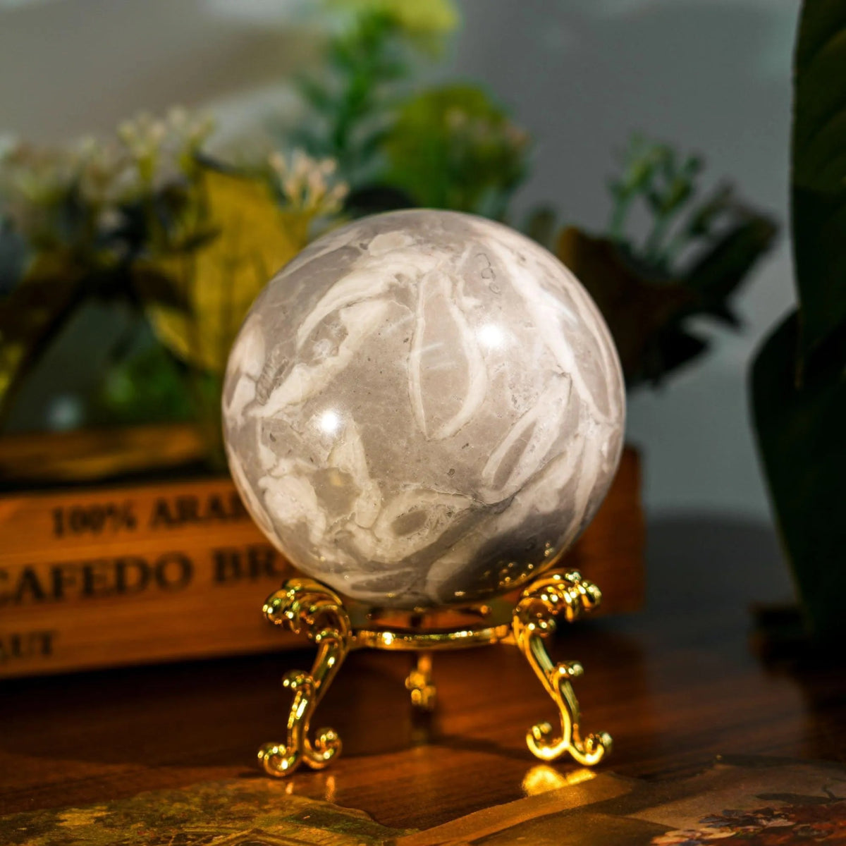 Shell Stone Sphere - helmsman - crystal