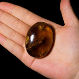 Smoky Quartz Palm Stone - helmsman - crystal