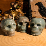 Trolite Skull - helmsman - crystal