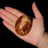 Van Gogh Stone Palm Stone - helmsman - crystal