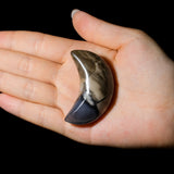 Volcanic Agate Moon - helmsman - crystal