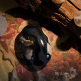 Volcanic Agate Palm Stone - helmsman - crystal