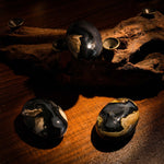 Volcanic Agate Palm Stone - helmsman - crystal