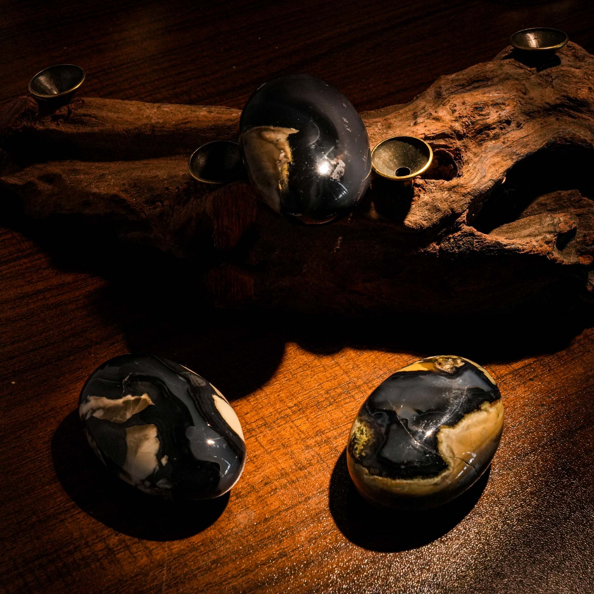 Volcanic Agate Palm Stone - helmsman - crystal