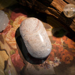 White Mexico Agate Palm Stone - helmsman - crystal