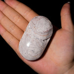 White Mexico Agate Palm Stone - helmsman - crystal