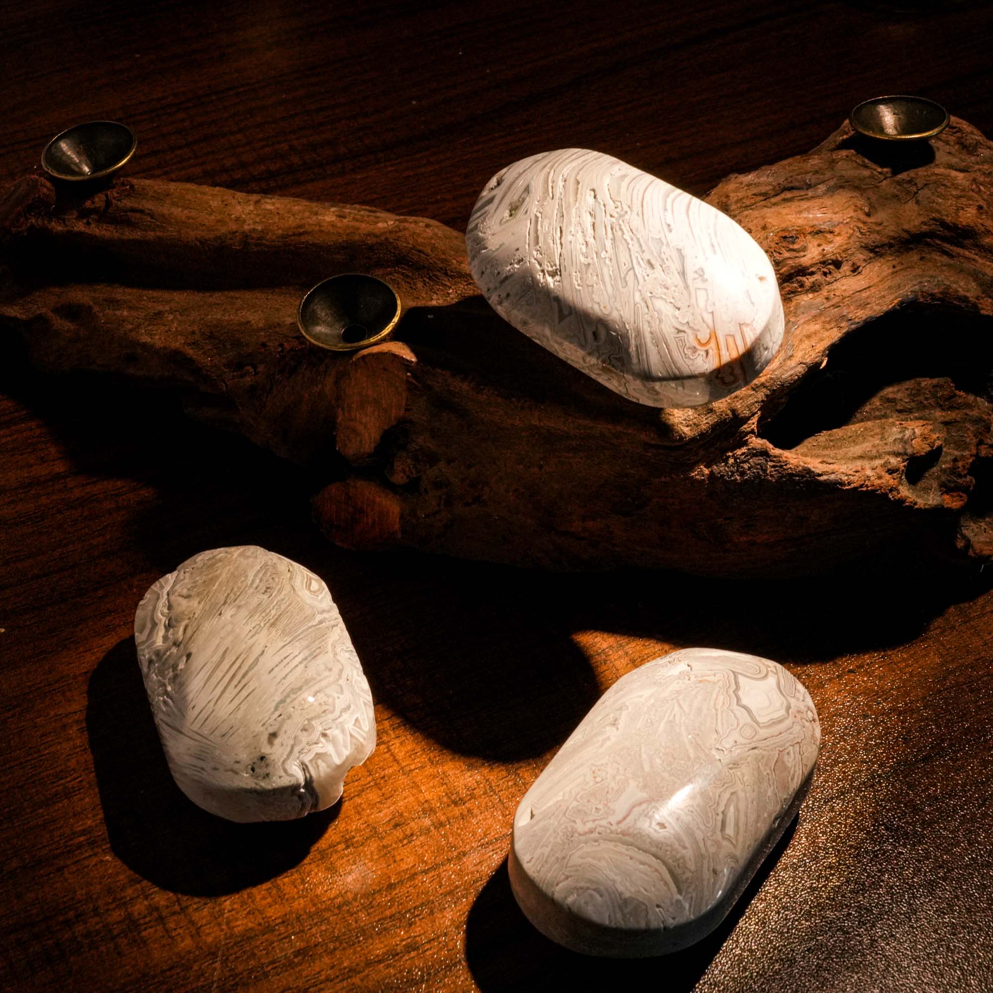 White Mexico Agate Palm Stone - helmsman - crystal