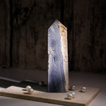 Blue Coral Fossil Tower-Helmsman Crystal