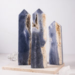 Blue Coral Fossil Tower-Helmsman Crystal