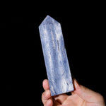 Blue Coral Fossil Tower-Helmsman Crystal