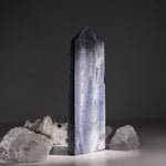 Blue Coral Fossil Tower-Helmsman Crystal