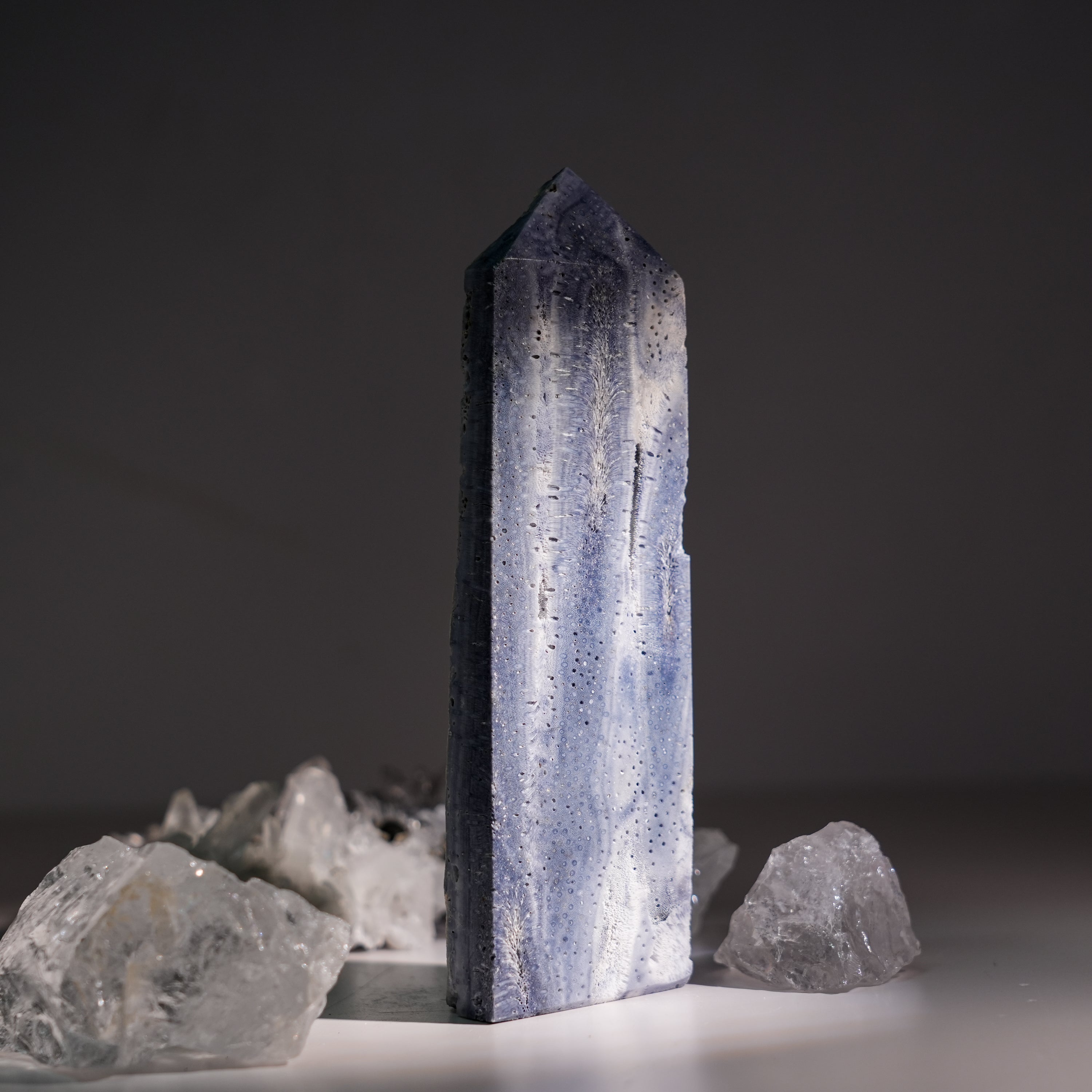 Blue Coral Fossil Tower-Helmsman Crystal