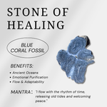 Blue Coral Fossil Tower-Helmsman Crystal