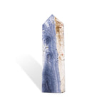 Blue Coral Fossil Tower-Helmsman Crystal