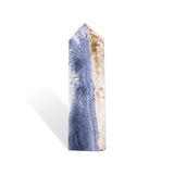 Blue Coral Fossil Tower-Helmsman Crystal