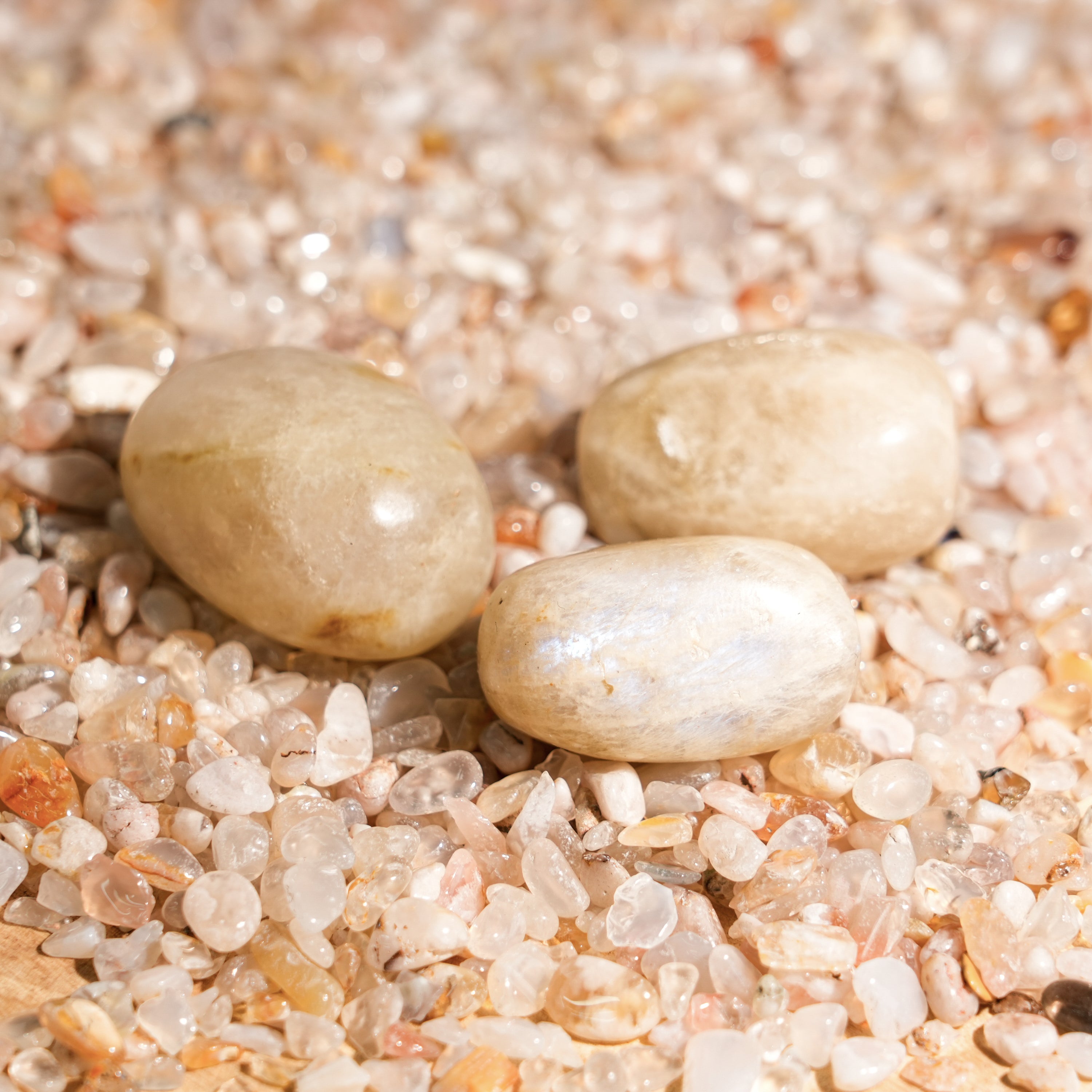 Blue Moonstone Tumbled Stone Set-Helmsman Crystal