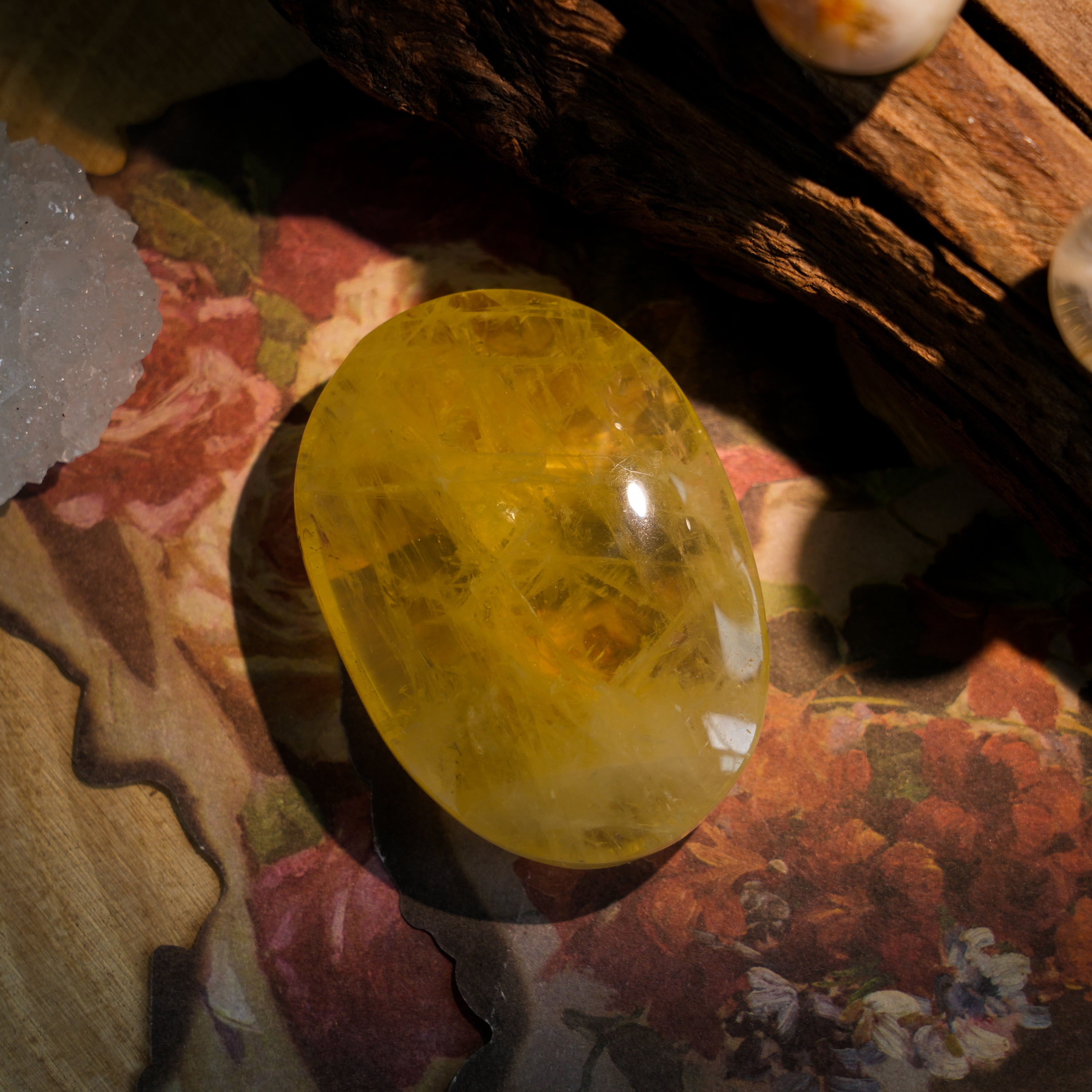 Citrine Palm Stone-Helmsman Crystal