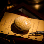 Coral Jade Fossil Palm Stone-Helmsman Crystal