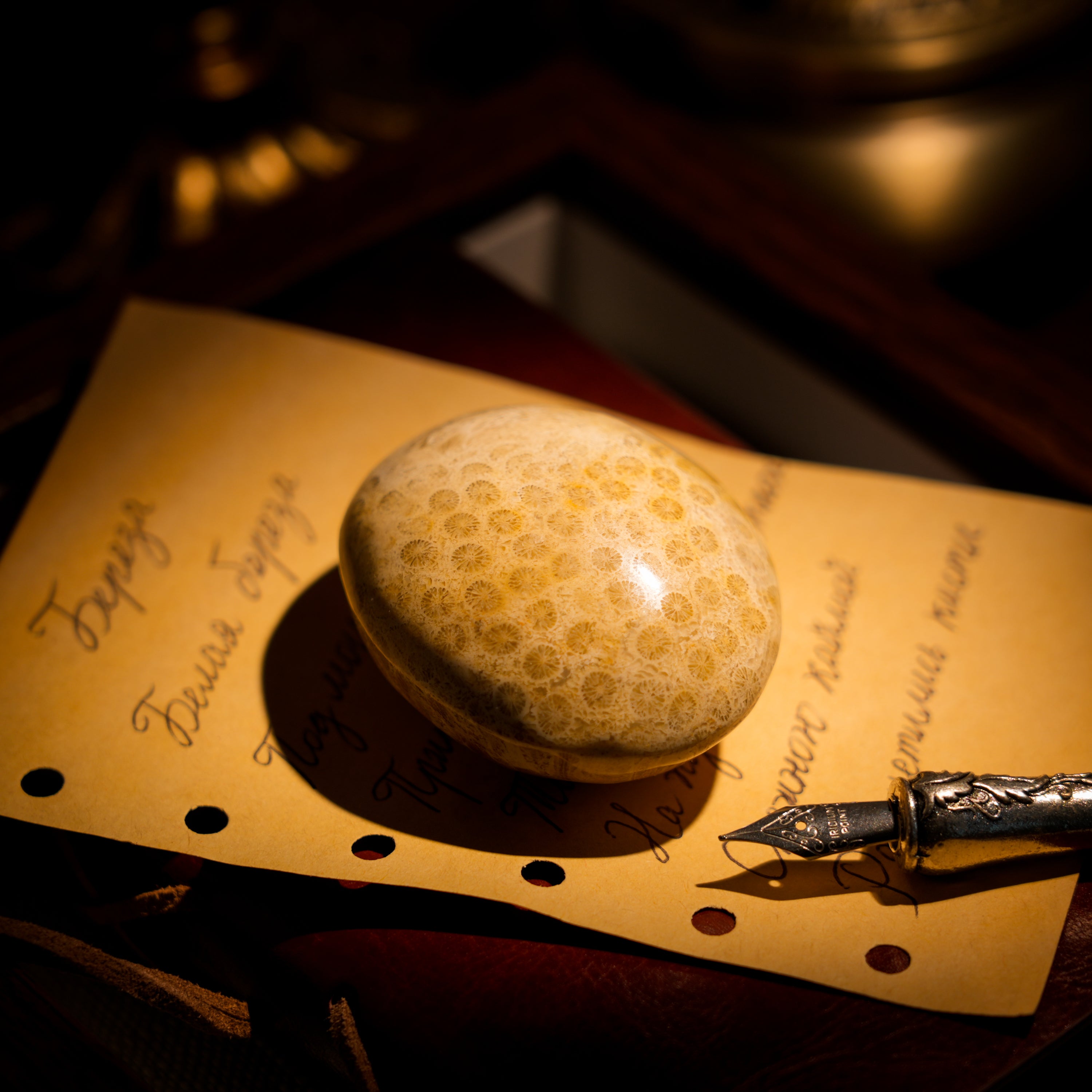 Coral Jade Fossil Palm Stone-Helmsman Crystal