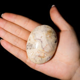 Crazy Lace Agate Palm Stone-Helmsman Crystal