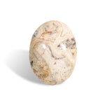 Crazy Lace Agate Palm Stone-Helmsman Crystal