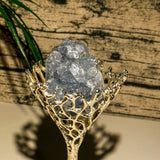 Crystal Explorer Crystal Set-Helmsman Crystal