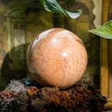 Peach Moonstone Sphere