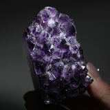 Amethyst Crystal Cluster