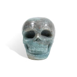 Trolite Skull