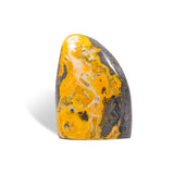 Bumblebee Jasper Flame