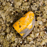 Bumblebee Jasper Flame