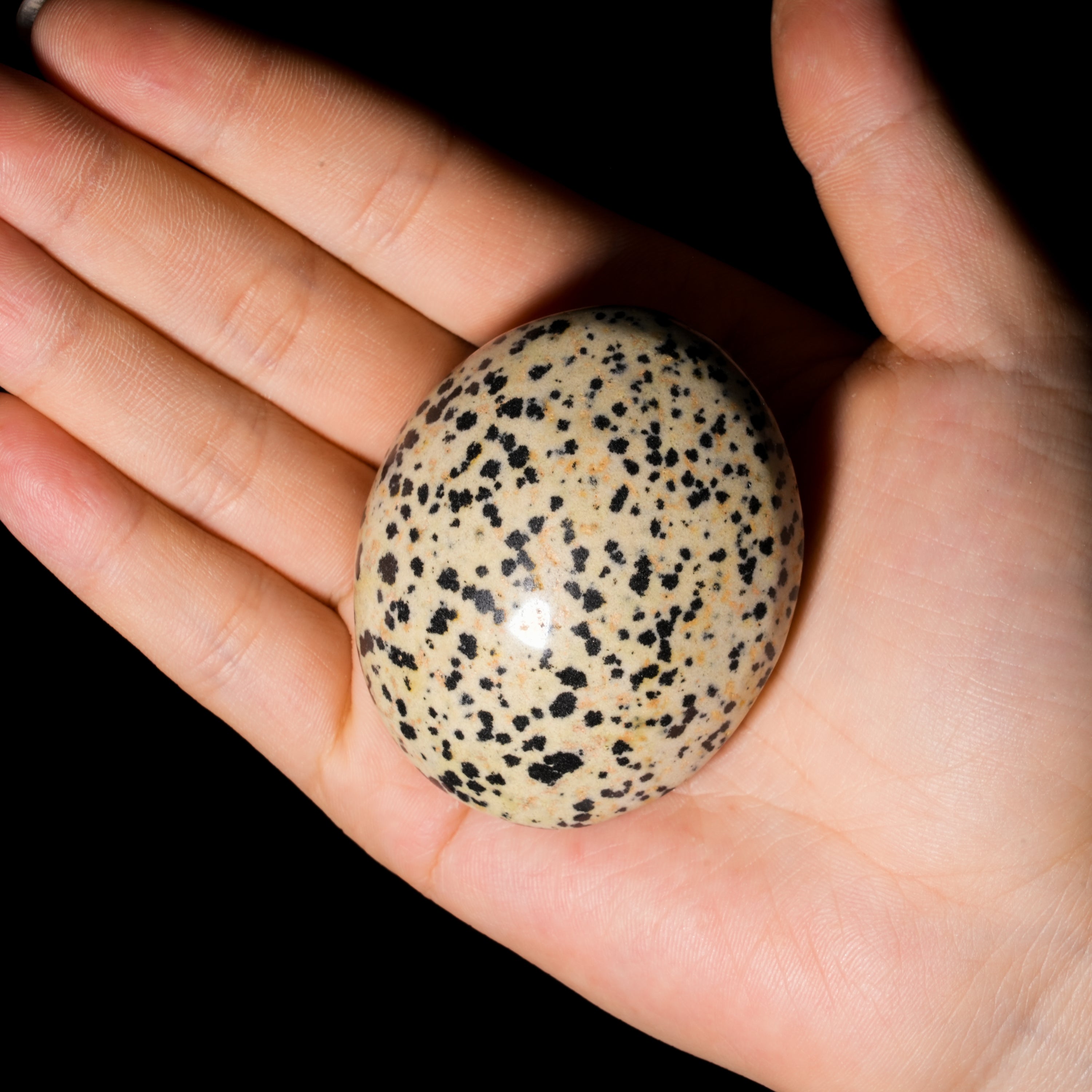 Dalmatian Jasper Palm Stone-Helmsman Crystal