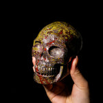 Dragon Blood Stone Skull-Helmsman Crystal