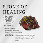 Dragon Blood Stone Skull-Helmsman Crystal
