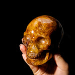 Golden Healer Quartz Skull-Helmsman Crystal