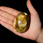 Golden Mica Palm Stone-Helmsman Crystal