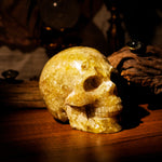 Golden Mica Skull-Helmsman Crystal