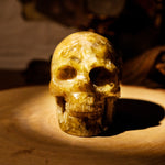 Golden Mica Skull-Helmsman Crystal